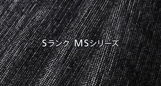 Sランク MSシリーズ